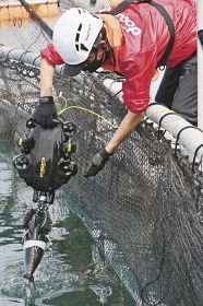 実証実験で、死んだ魚に見立てた模型を水中ドローンを使って回収する関係者（和歌山県串本町沖で）