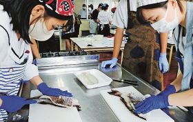 地元の魚食べてほしい  神島高校が水産業で商品開発へ