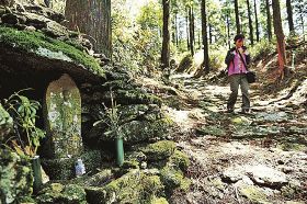 保全が課題となっている世界遺産の熊野古道（和歌山県那智勝浦町で）