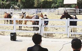 関係者に馬を紹介するスタッフ（５日、和歌山県白浜町のアドベンチャーワールドで）