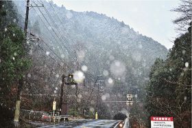 みぞれ混じりの雪が降り、うっすらと雪化粧をした小広トンネル周辺の山（３１日午前７時４０分ごろ、和歌山県田辺市中辺路町道湯川で）