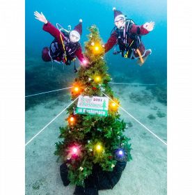 海中に設置したクリスマスツリー（２８日、串本町潮岬沖で）＝串本ダイビング事業組合提供