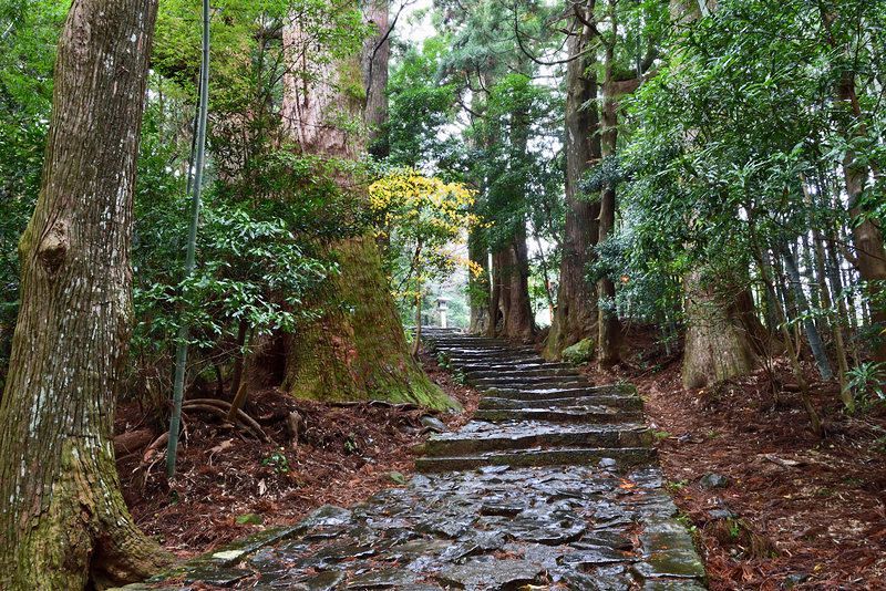 聖火リレーの那智勝浦町コース。熊野古道「大門坂」を走る