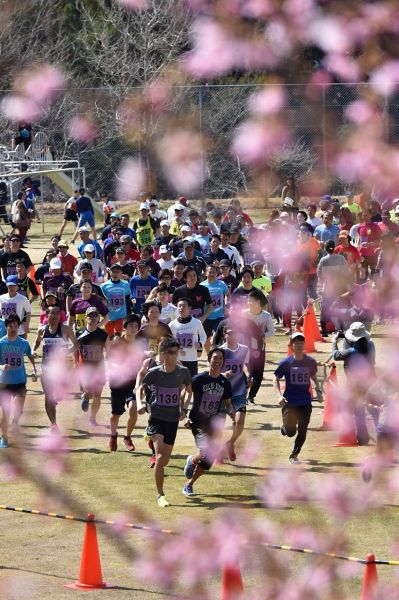 ２０１７年３月の熊野古道近野山間マラソン（和歌山県田辺市中辺路町で）