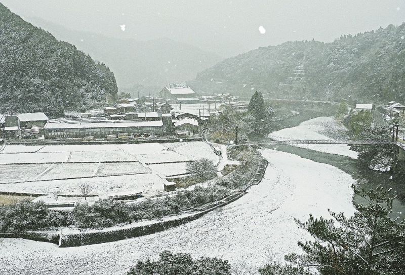 一面真っ白になった農地や建物（２２日午前９時ごろ、和歌山県田辺市龍神村で）