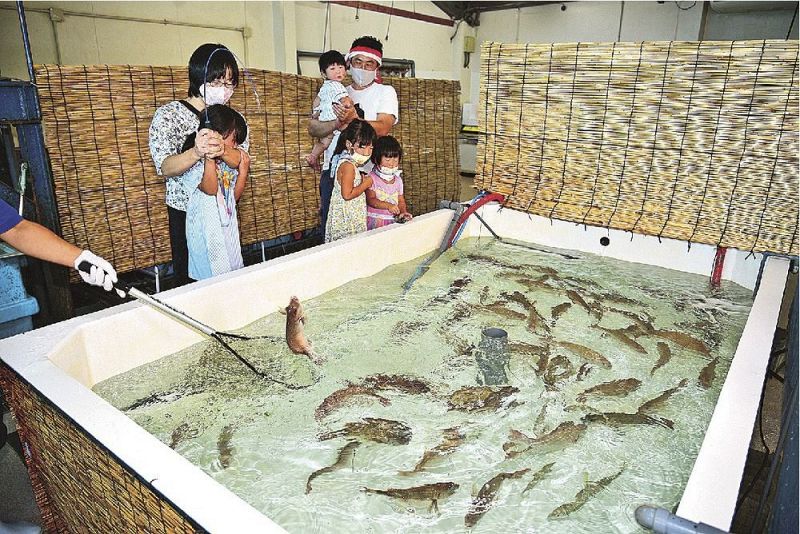 店内に設けた釣り堀コーナー（和歌山県みなべ町堺で）