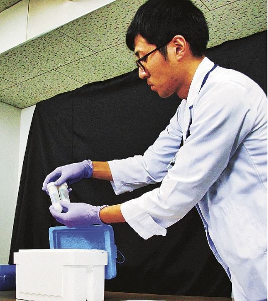 新型コロナウイルスの試薬を確認する県環境衛生研究センター職員（２８日、和歌山市で）