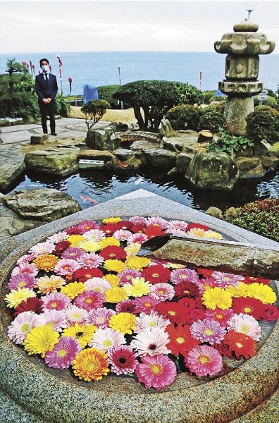 約８０本のガーベラの花が浮かぶ”花手水”＝和歌山県白浜町の三段壁で