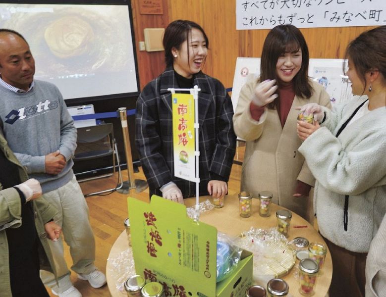 コンペイトーを使って梅ジュース作りを体験する和歌山大学の学生ら（２６日、和歌山市で）