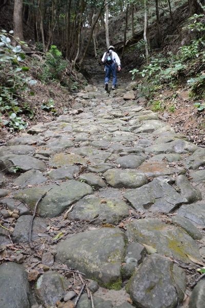 約２００メートルにわたって石畳が続く富山平見道。谷の丸い石が使われている（串本町田子で）
