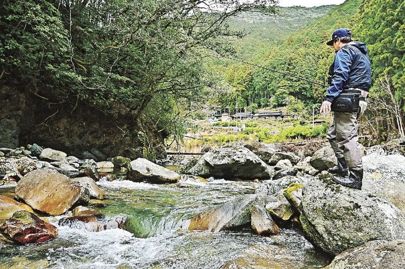 解禁日にアマゴ釣りを楽しむ釣り人（１日、和歌山県田辺市五味で）