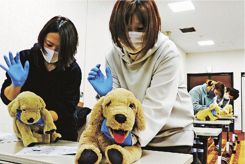 ぬいぐるみを使ってペットの救急法を実習する講習会の参加者（和歌山市で）