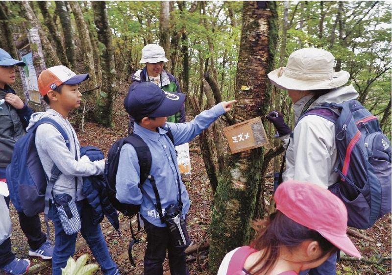 森林インストラクター（右）から樹木の種類について説明を受ける児童＝和歌山県田辺市龍神村龍神で