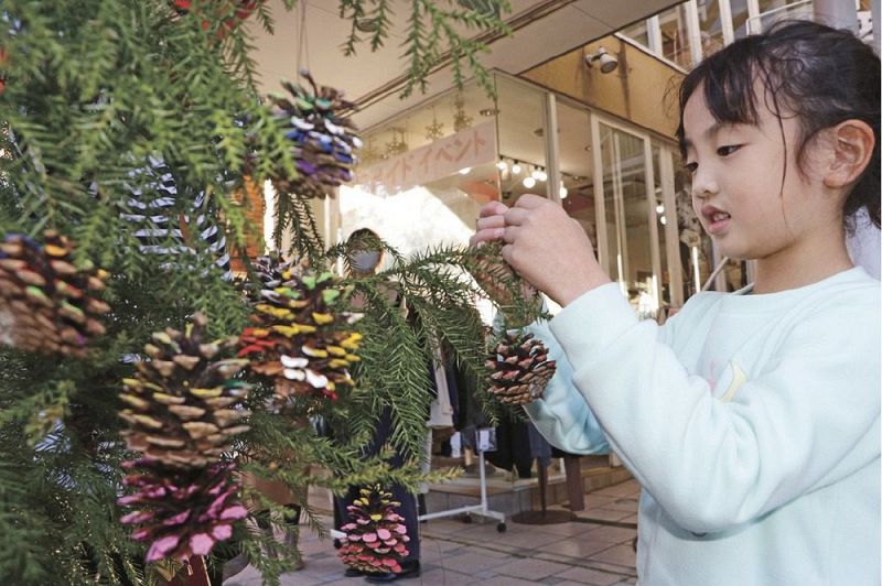 スギの「クリスマスツリー」にカラフルな松ぼっくりを飾る子ども（和歌山県田辺市南新町で）