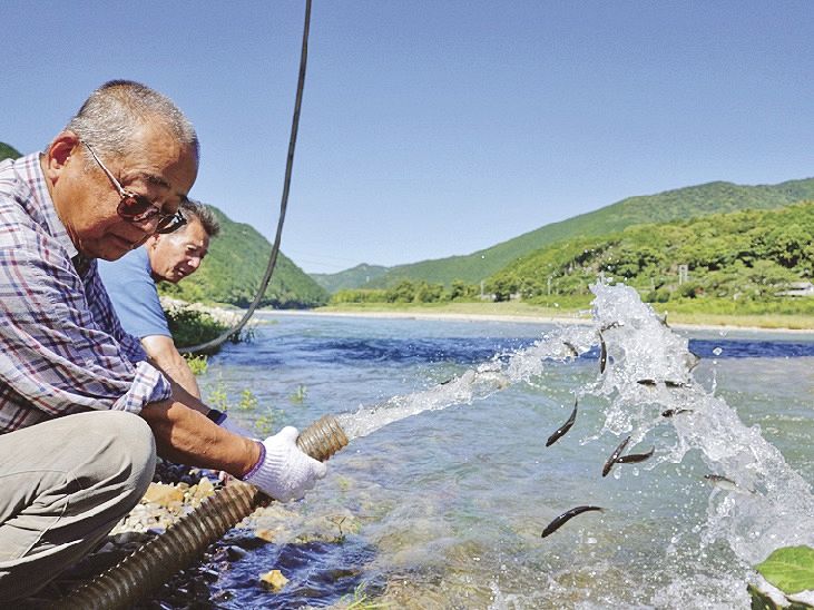 日置川本流であったアユの放流（白浜町口ケ谷で）