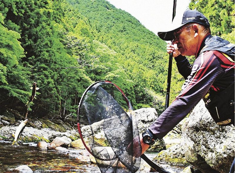 釣り上げたアユをたも網でキャッチする釣り人（２６日、和歌山県田辺市の前ノ川で）