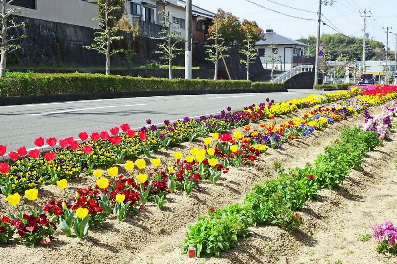 職場・地域の部で最優秀賞に選ばれた神子浜町内会の写真の一つ