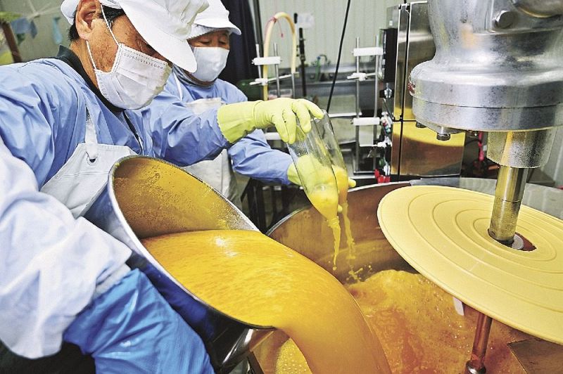 ポンカンから搾った果汁を加熱殺菌するための機械に入れる関係者（和歌山県串本町伊串で）