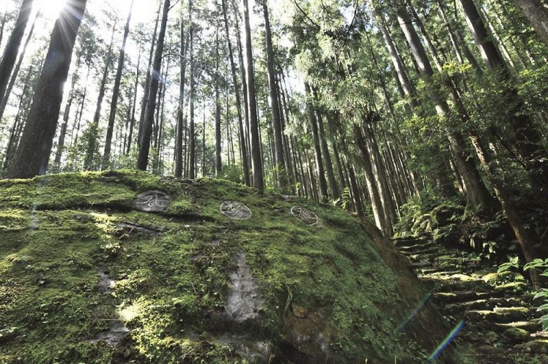 ご当地フォルム　マグネット　和歌山県　熊野古道