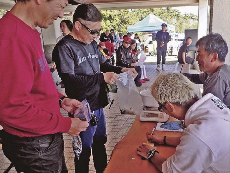 釣り上げたイカを検量する参加者（和歌山県串本町くじの川で）