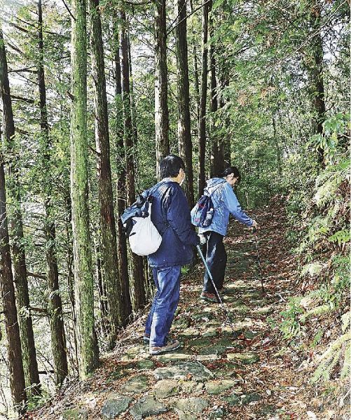 熊野古道・中辺路を歩く観光客（和歌山県田辺市中辺路町高原で）