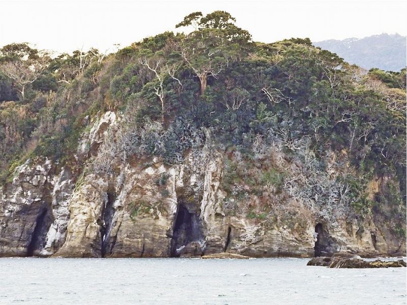 カワウのふんで一部が白くなった九龍島（和歌山県串本町西向で）