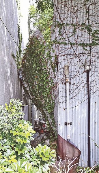 倒壊した建物に押し出され、隣家に倒れかかっているトタン塀（和歌山県田辺市今福町で）