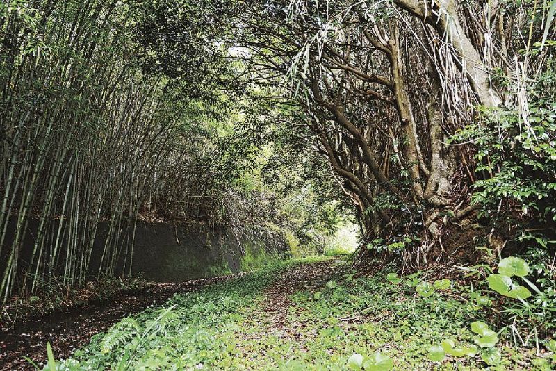 昔の雰囲気が残る「千里王子跡北東参詣道」