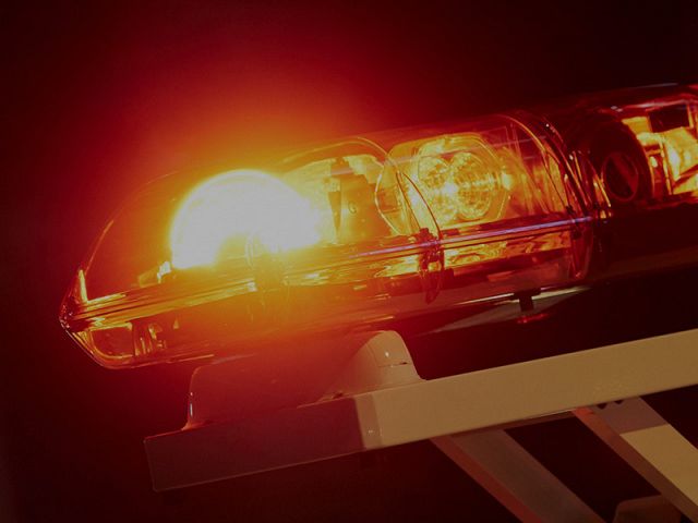 サウナ施設「SAUNATIGER」（サウナタイガー）が公式発表