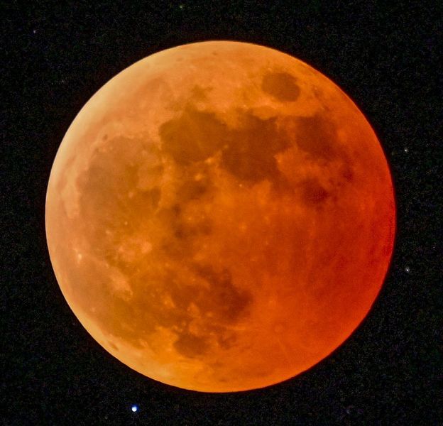 皆既食となり、赤銅色に染まった月
（８日午後８時２０分、串本町くじの川で）