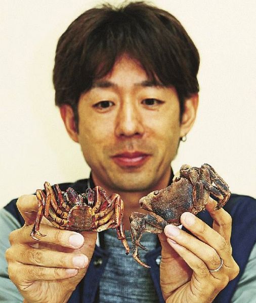 調査で見つかったオオカクレイワガニ（右）とオオイワガニを持つ京都大学の中野智之助教＝和歌山県白浜町で