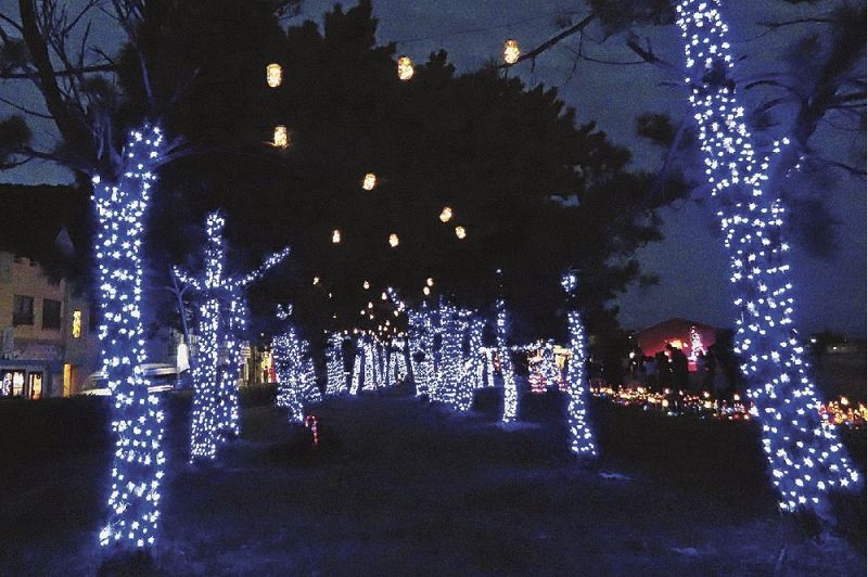 約２５０メートルにわたって青い電飾で輝いている松林