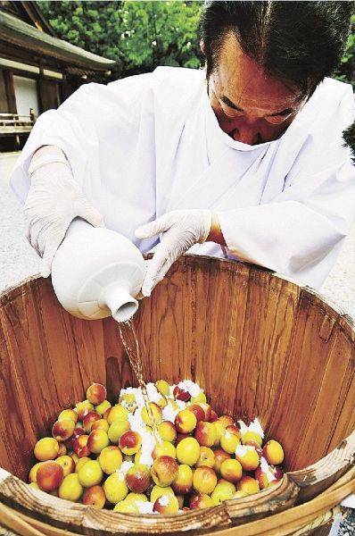 神事でたるに入った梅に酒を注ぐ九鬼家隆宮司（６日、和歌山県田辺市本宮町で）
