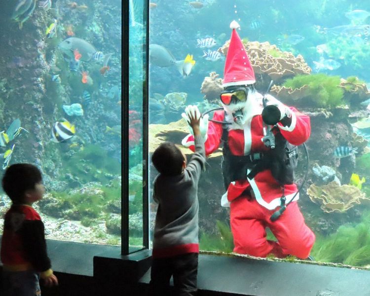 サンタクロースの登場を喜ぶ子ども（１１月３０日、和歌山県串本町有田で）