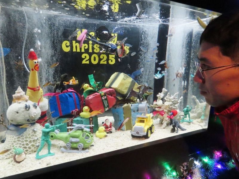 クリスマスにちなんだ特別水槽