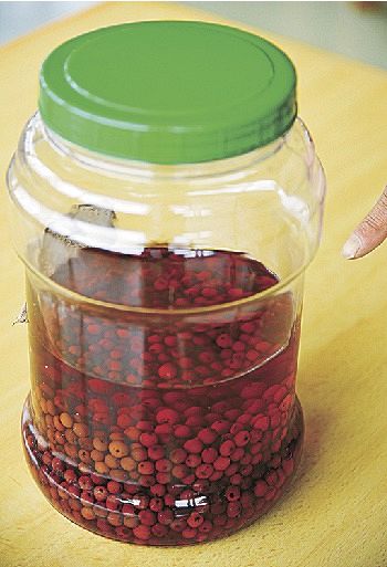 管理事務所内に展示しているナナカマドの果実酒