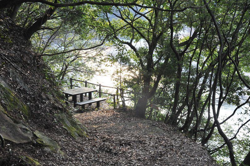 富田川沿いを歩く熊野古道・北郡越ルート（和歌山県田辺市）