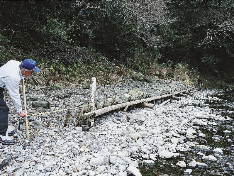 富田川に残る木組みの施設（和歌山県田辺市鮎川で）