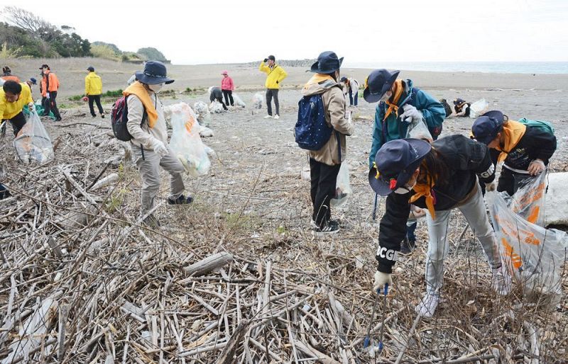 海岸に打ち上がったごみを拾い集める参加者（和歌山県みなべ町東岩代で）