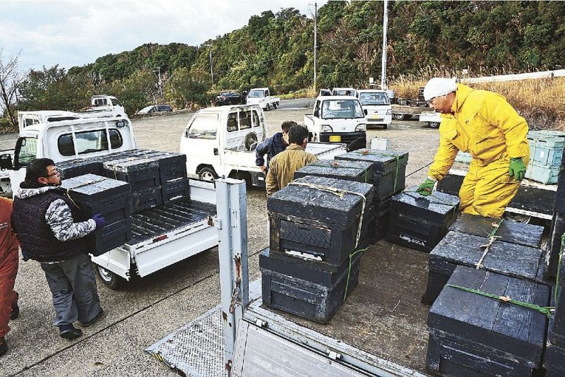 農家に貸し出すためセイヨウミツバチの巣箱を車の荷台に積む養蜂業者（１日、和歌山県みなべ町山内で）
