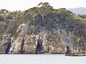 カワウのふんで一部が白くなった九龍島（和歌山県串本町西向で）