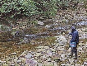 アマゴ釣りが解禁　紀南の河川、９月末まで