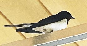 釣っとコラム　「ちょっと失礼」