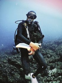 第３３回串本海中フォトコン／入賞作品紹介（３２）