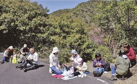 田並の桜名所まで遠足／串本　県内外から２４人
