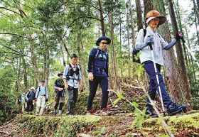 ８月１１日は「山の日」／熊野の自然満喫／滝や歴史の地を散策