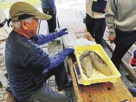 １キロ超えの大物７匹／串本　エギング大会に１６０人