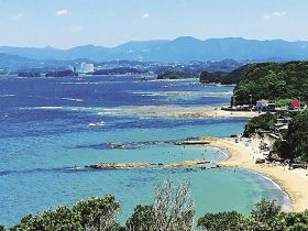 番所山だより（１３）／南方熊楠記念館学術スタッフ　土永知子／鼻とこじわ