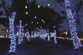 約２５０メートルにわたって青い電飾で輝いている松林