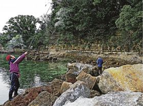 神島の防鳥テグスを補強　ふん害で田辺市教委